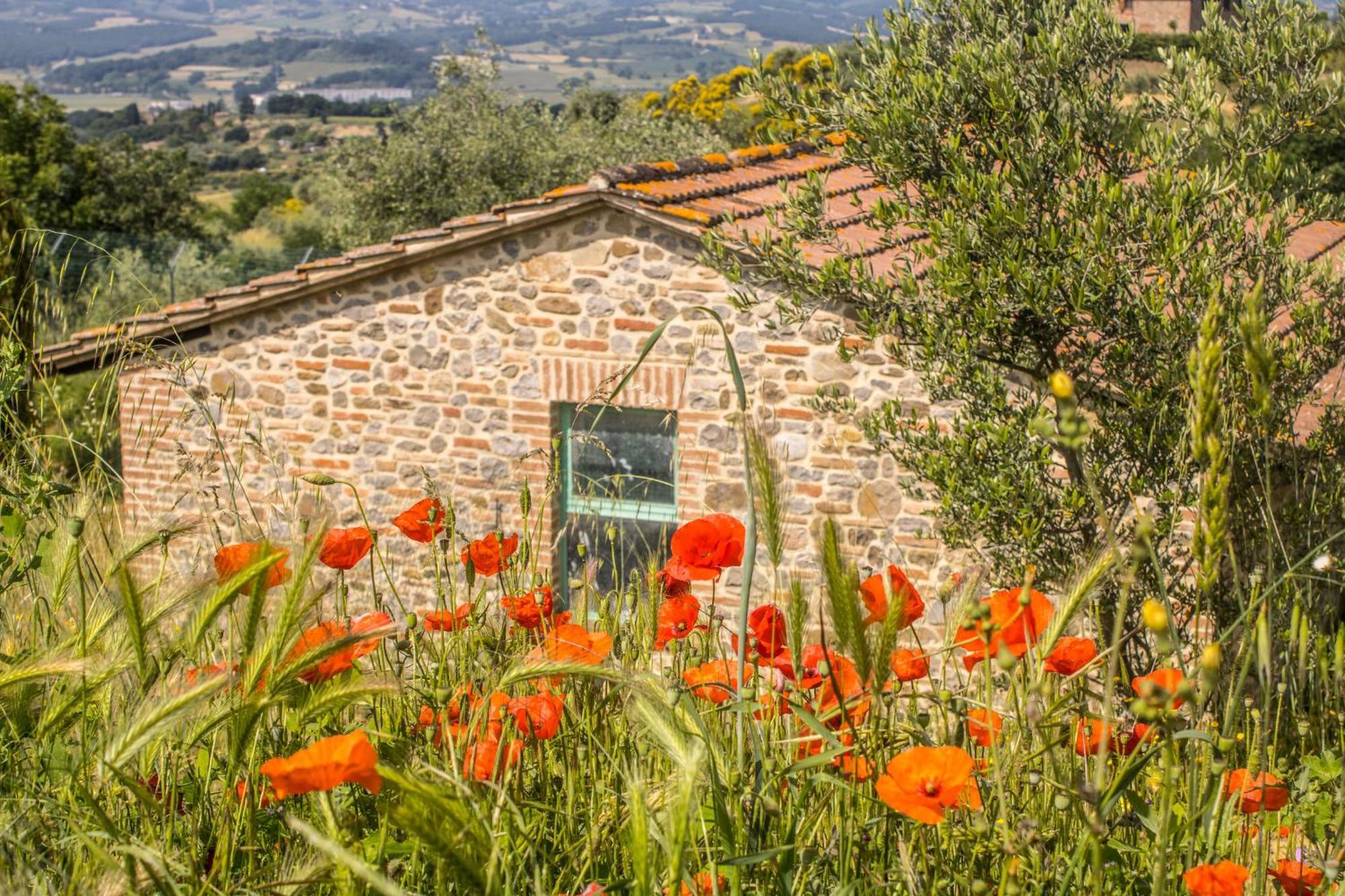 Agriturismo Dandelion Città della Pieve Esterno foto